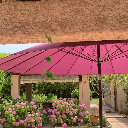 Lejlighed La Maison De Suzy Saint-Tropez